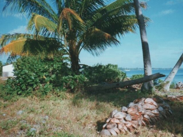 Fakarava Coconut Shell Stack